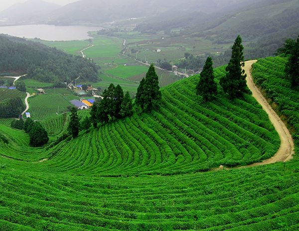 Sylhet